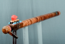 Tasmanian Blackwood Burl Native American Flute, Minor, Bass A-3, #N28E (1)